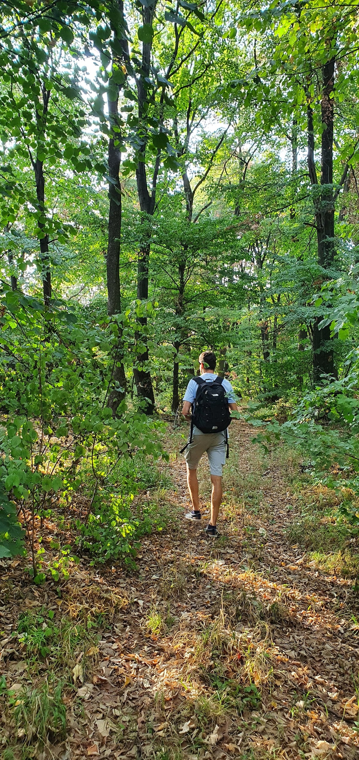 Explore Fruska Gora National Park