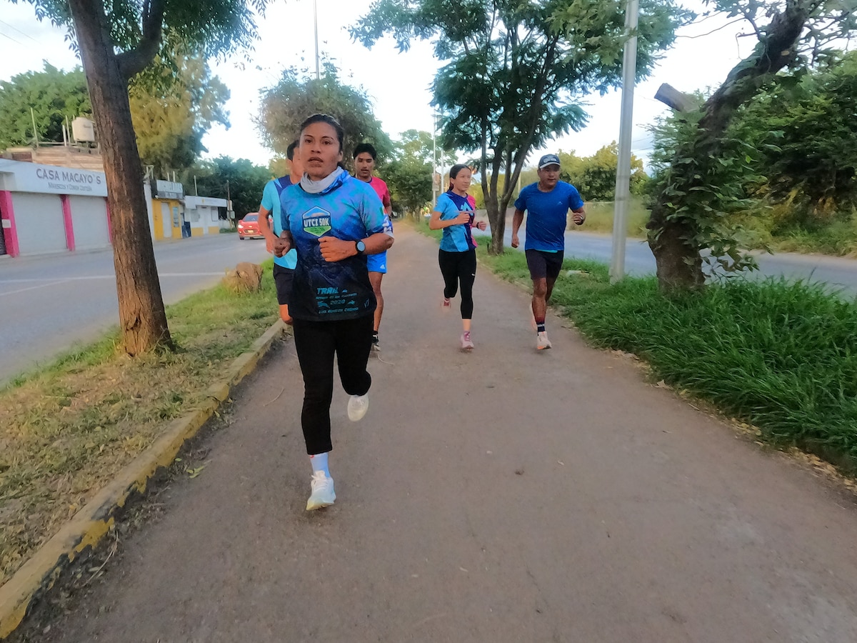 Run to the Árbol del Tule