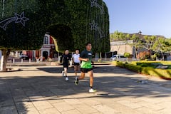 Run to the Árbol del Tule