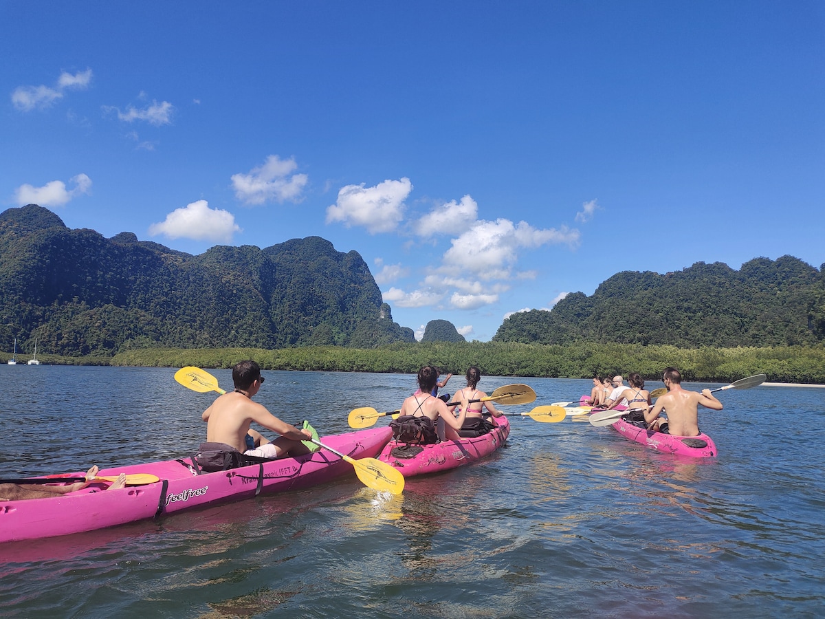 Marvel at mangrove forests