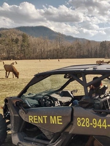 Utv adventure into the Smoky Mountain Eco-Elk Tour