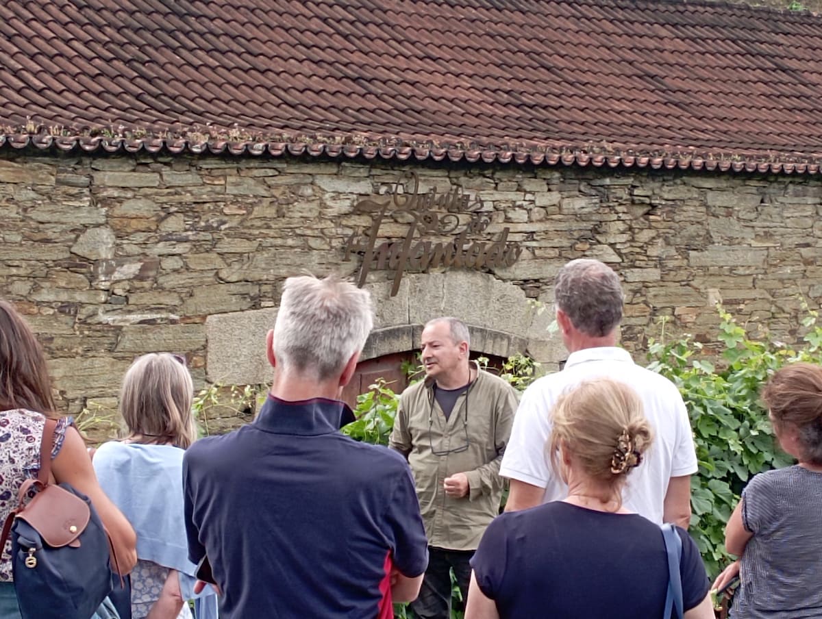 Visit the Douro Valley