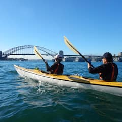 Go on a harbour kayak adventure