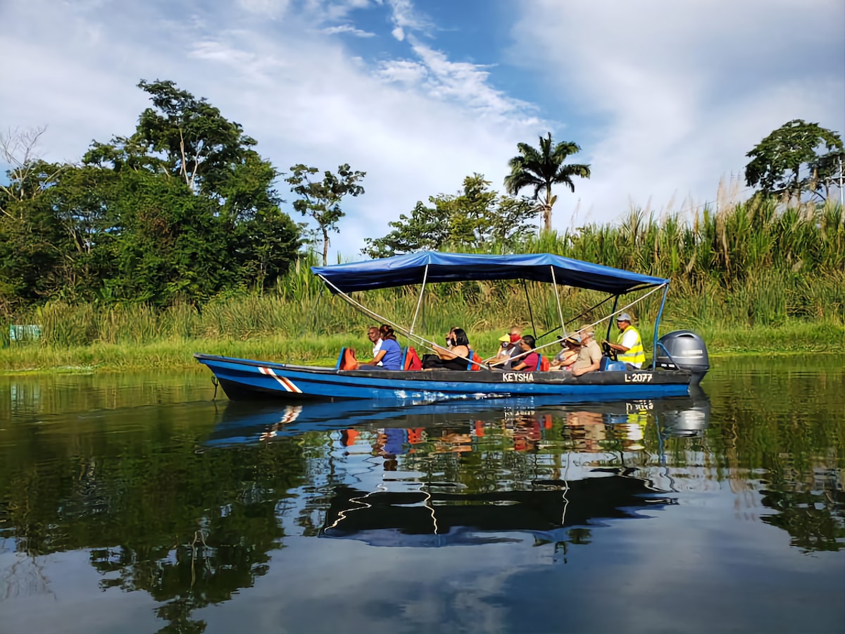Aquatic Safari through the Caribbean Amazon - Canals