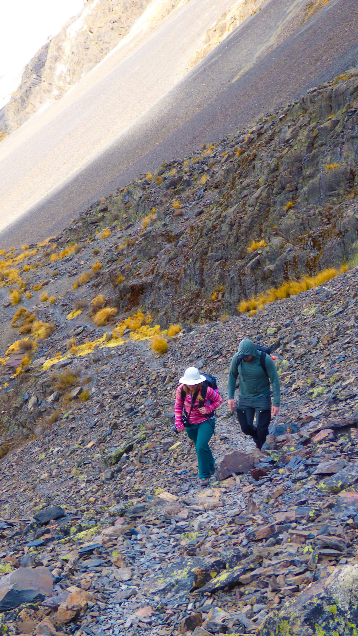 Hike to Ventanani Glacier - Cordillera Real