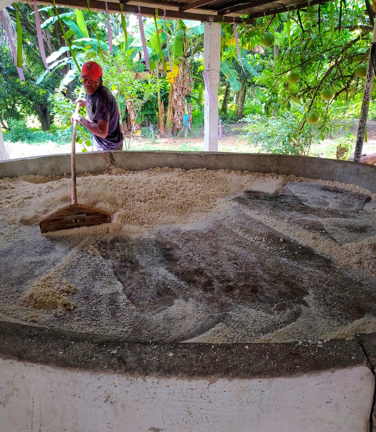 Explore the ecological trail in Oiteiro