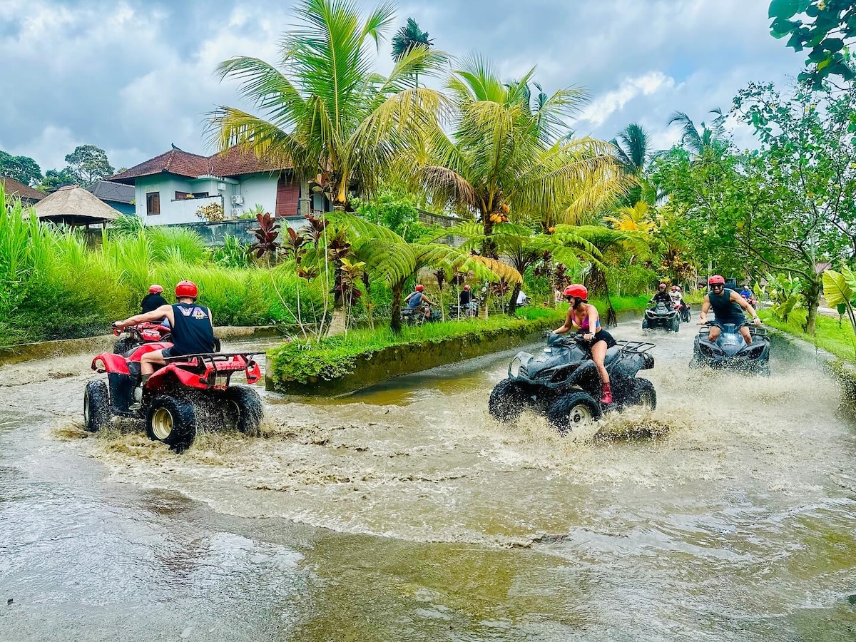 Bali Atv Quad ველოსიპედი უბუდში ლანჩთან ერთად