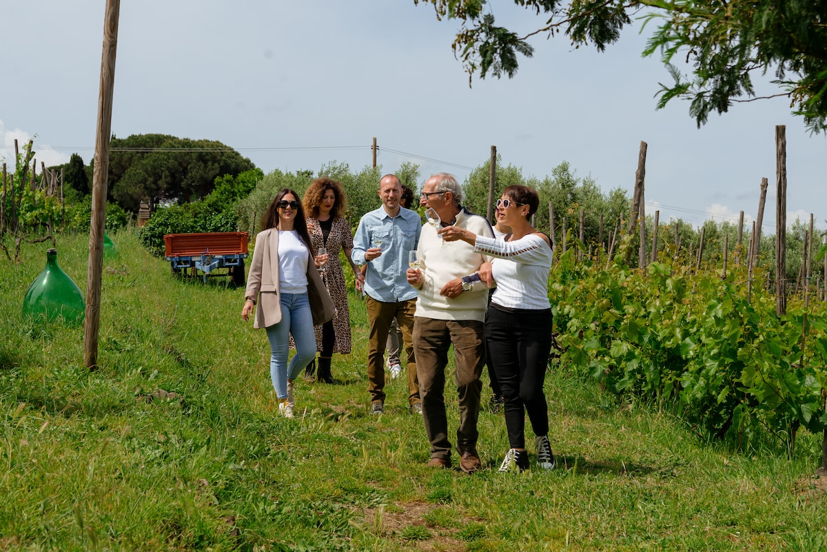 Visite des vignobles de Frascati et déjeuner à la ferme