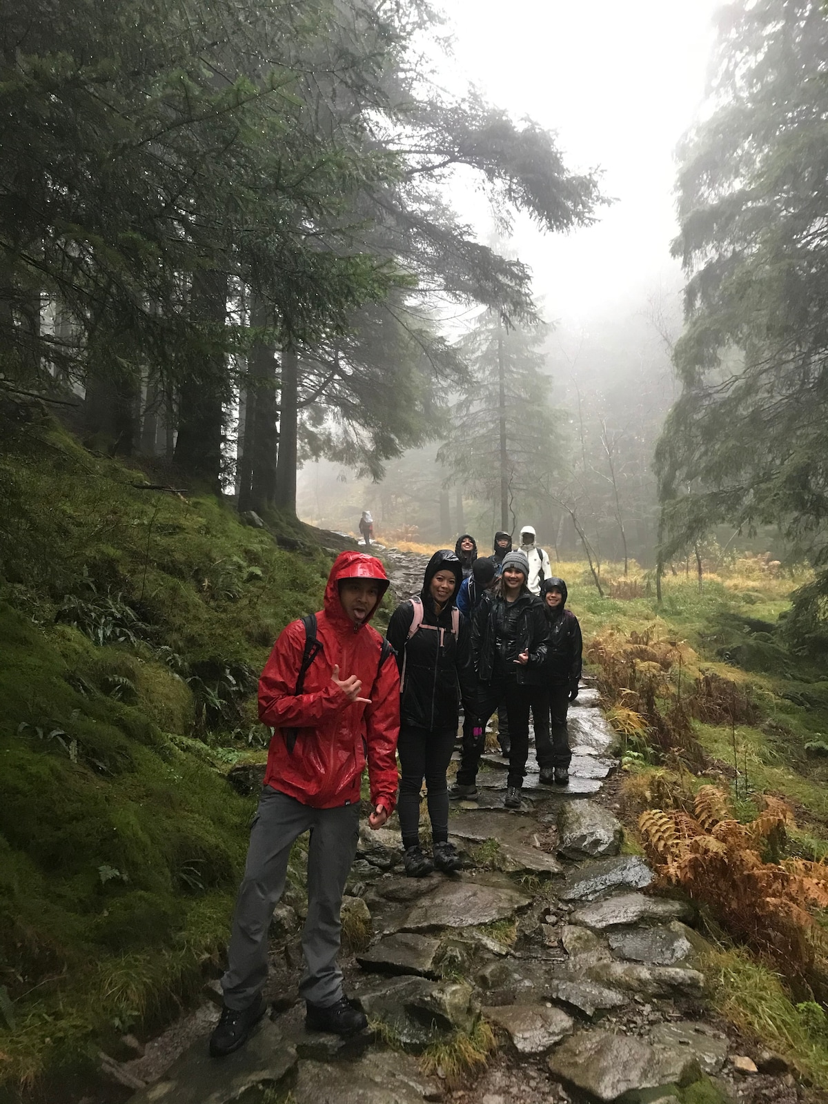 BergenFullExperience: Mountain, Fjord&Guided Sauna