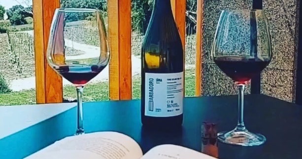 Taste the wines of an award-winning winery