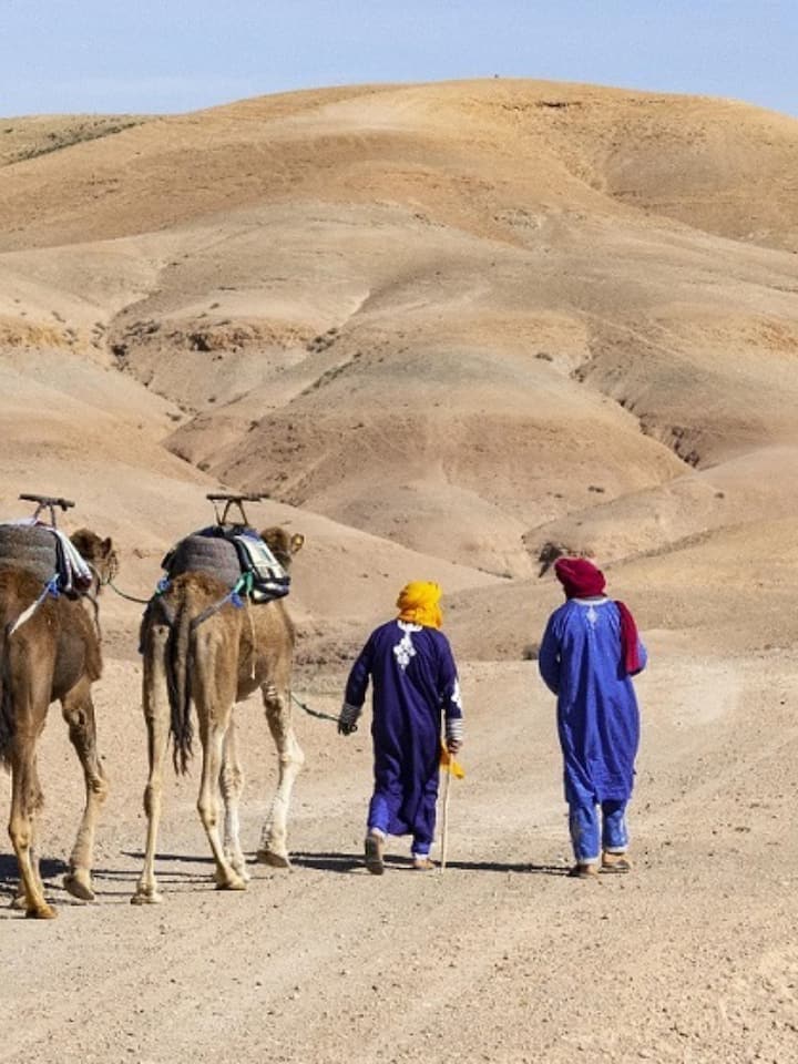 Explore mountains, waterfalls and a camel ride