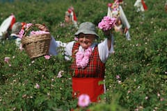 Вижте паметника на Бузлуджа и се разходете из Розовата долина