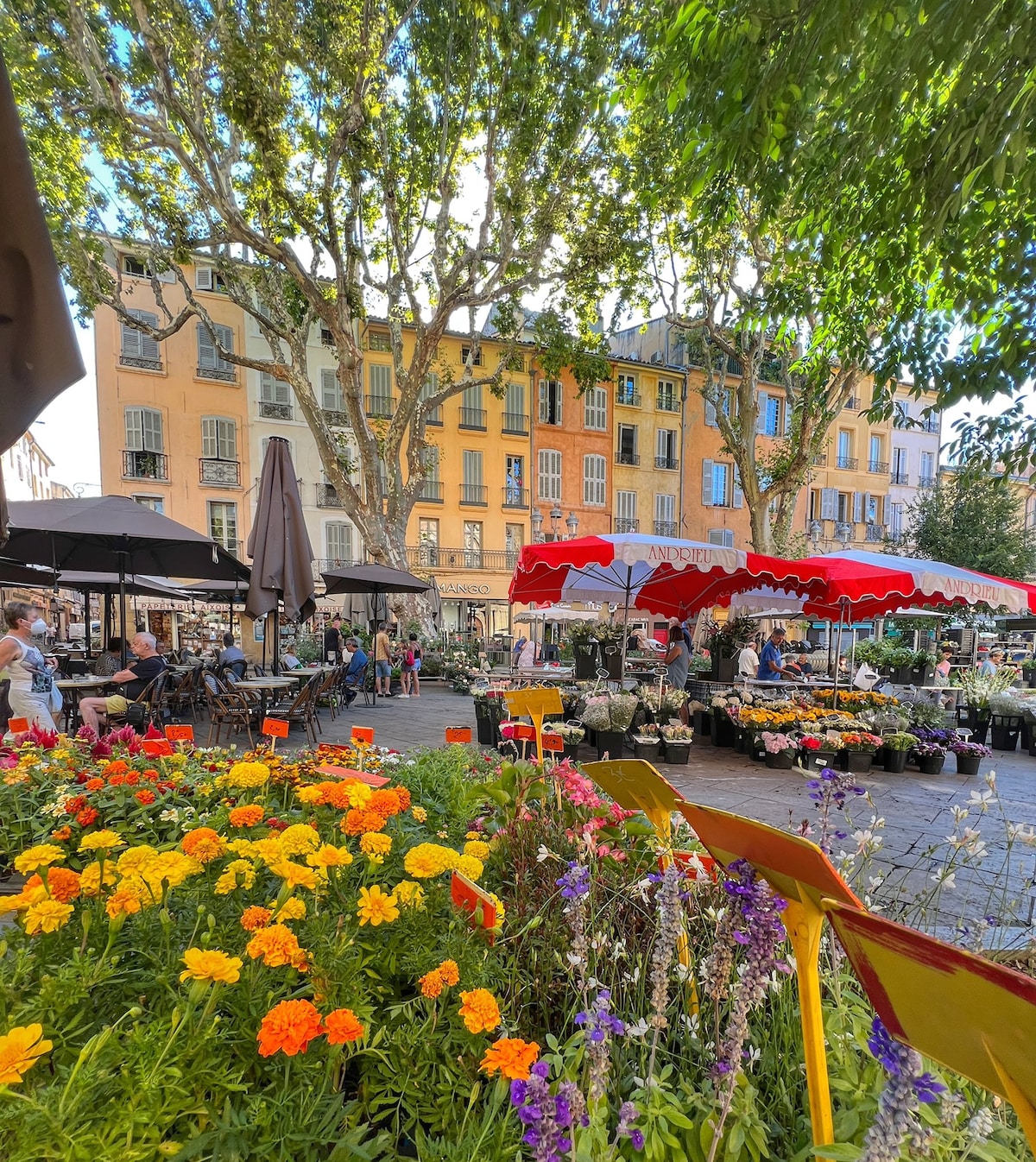 Colours of Aix - סיור רגלי וציור