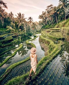 Visite personnalisée de Bali : temples et cascades d'Ubud