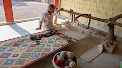 Safari y visita a los pueblos de los bishnoi