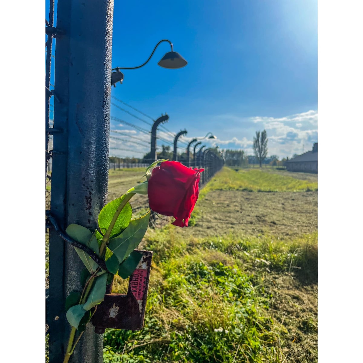 Auschwitz & Birkenau Guided Tour Limited to 15 pax