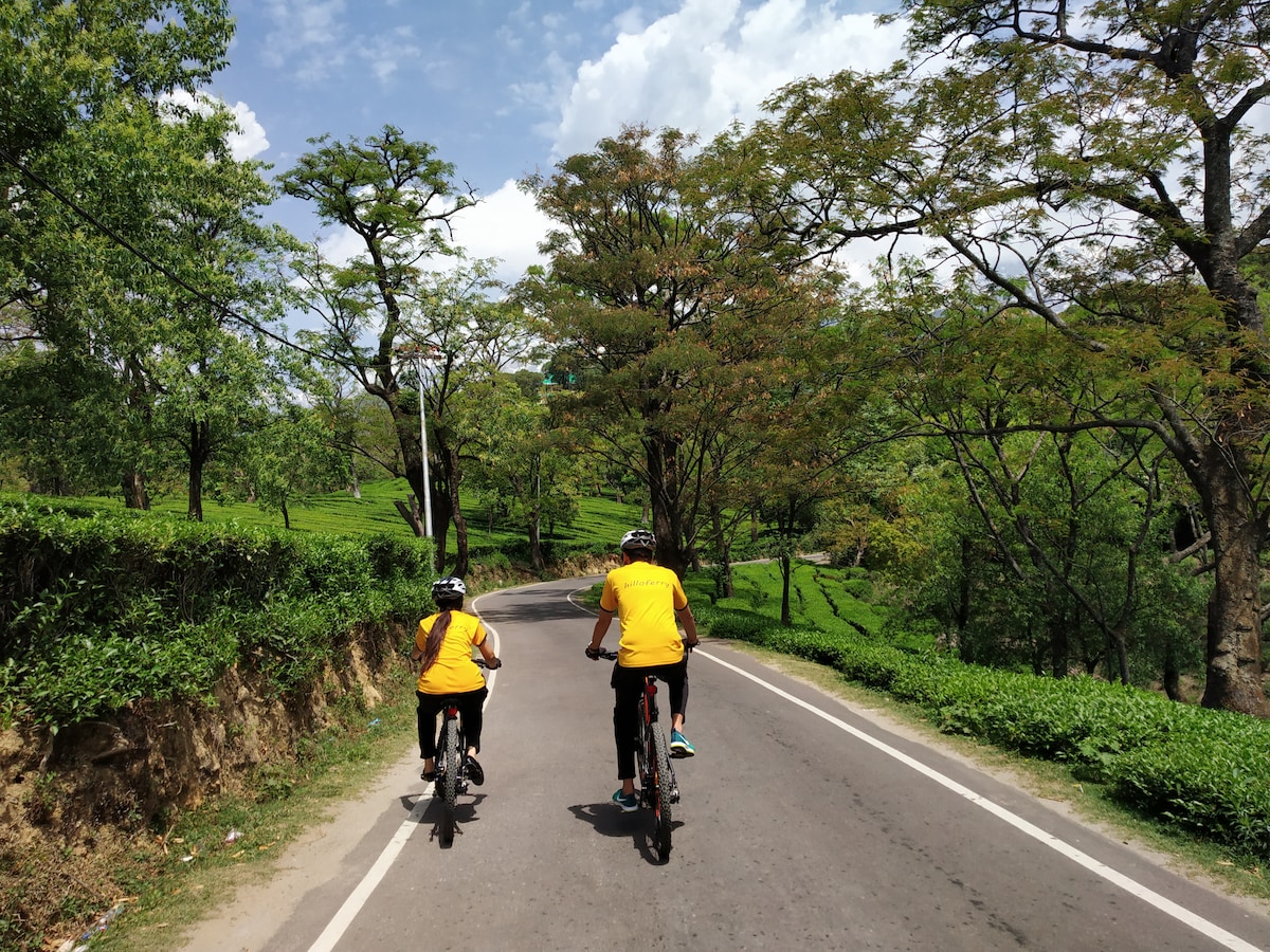 Hilloferry - Ride through scenic lower Dharamshala