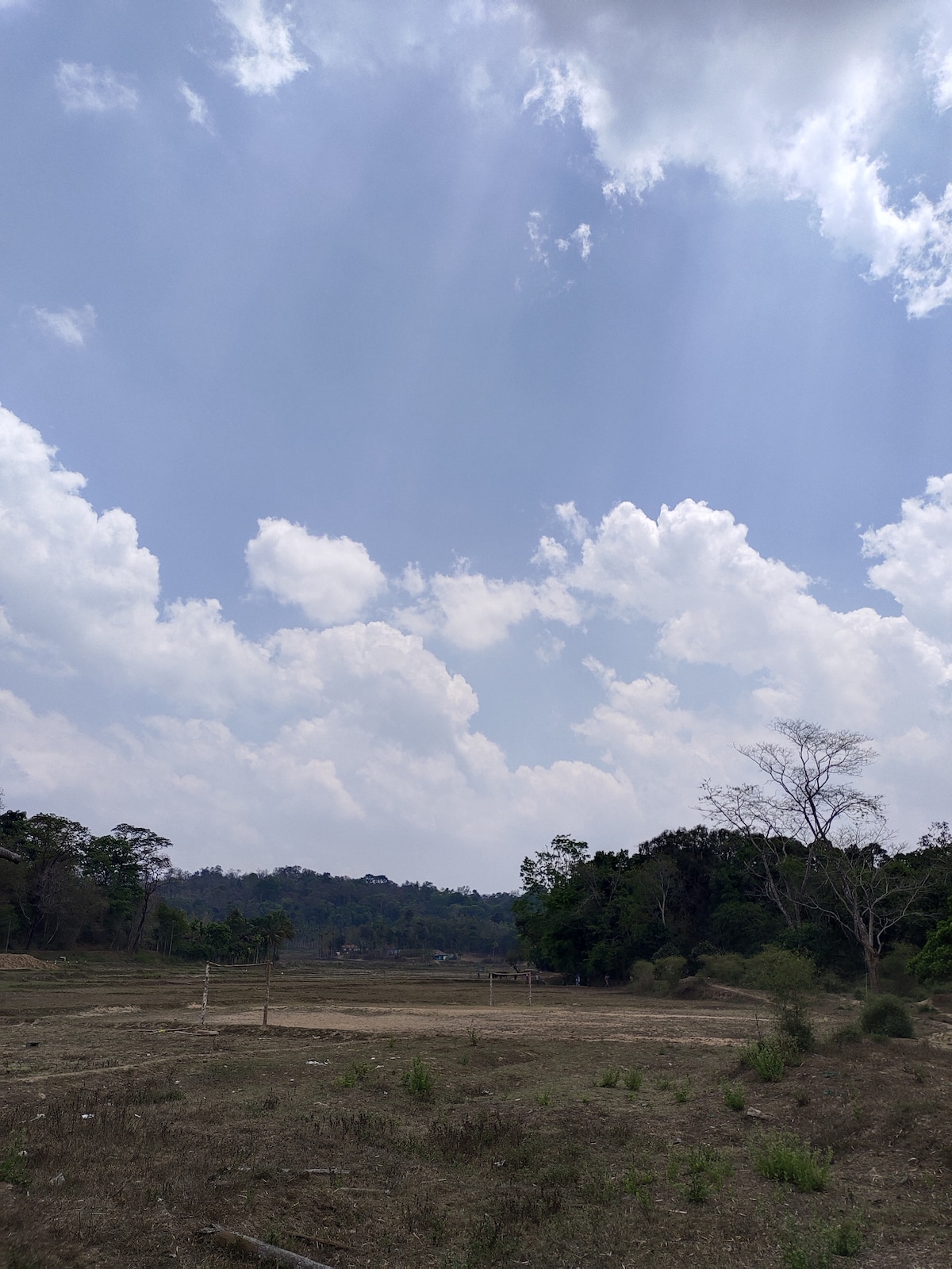 Explore coffee plantation, spices and fruits