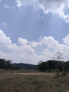Descubre una plantación de café, especias y frutas