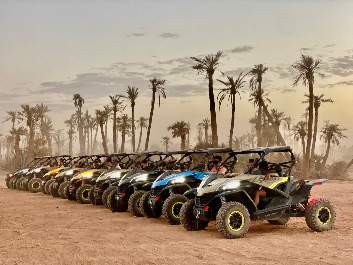Ride through the desert on a powerful buggy