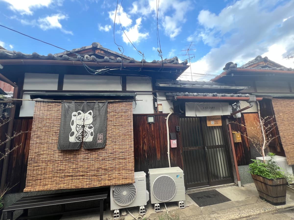 The cat café