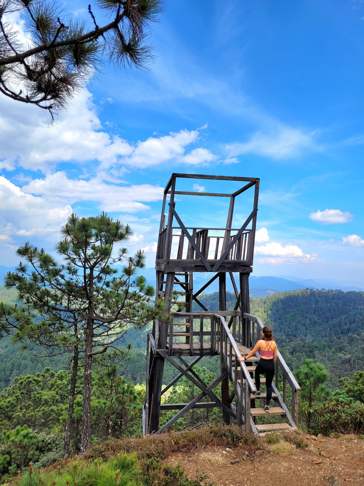 Explore Sierra Norte, Half-Day Hiking Adventure · ☆4.95