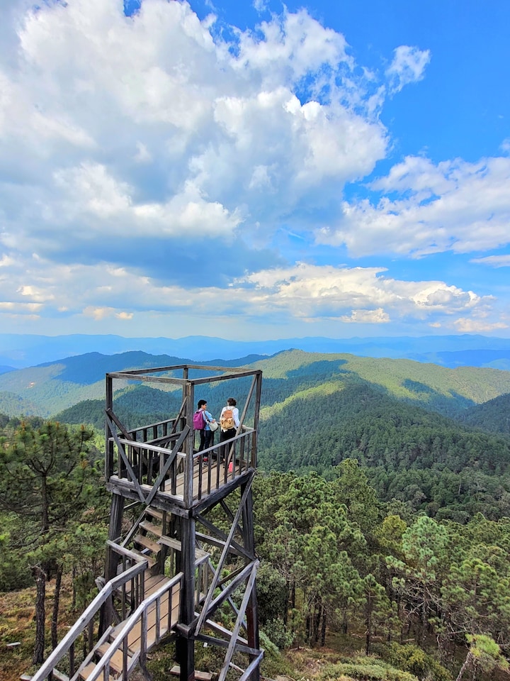 Explore Sierra Norte, Half-Day Hiking Adventure · ☆4.95