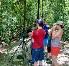 Encuentra la fauna del parque nacional Manuel Antonio