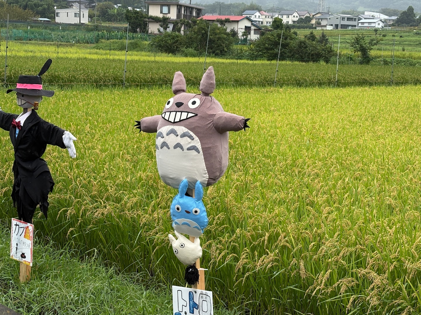 Near Hakone: Soba Making Experience in Kanagawa · ☆4.95