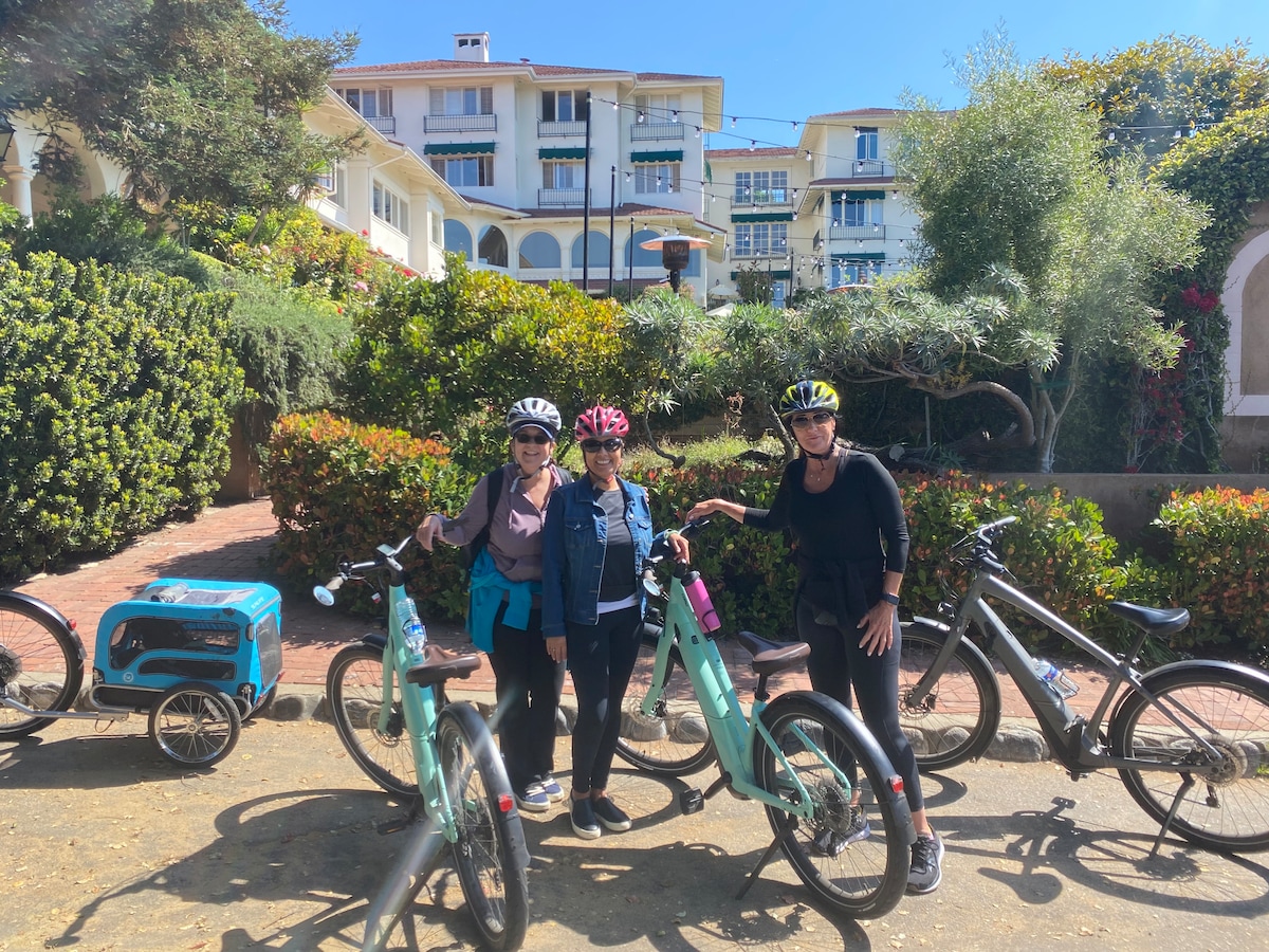 Dog-Friendly Electric Bike & Sidecar Guided Tour