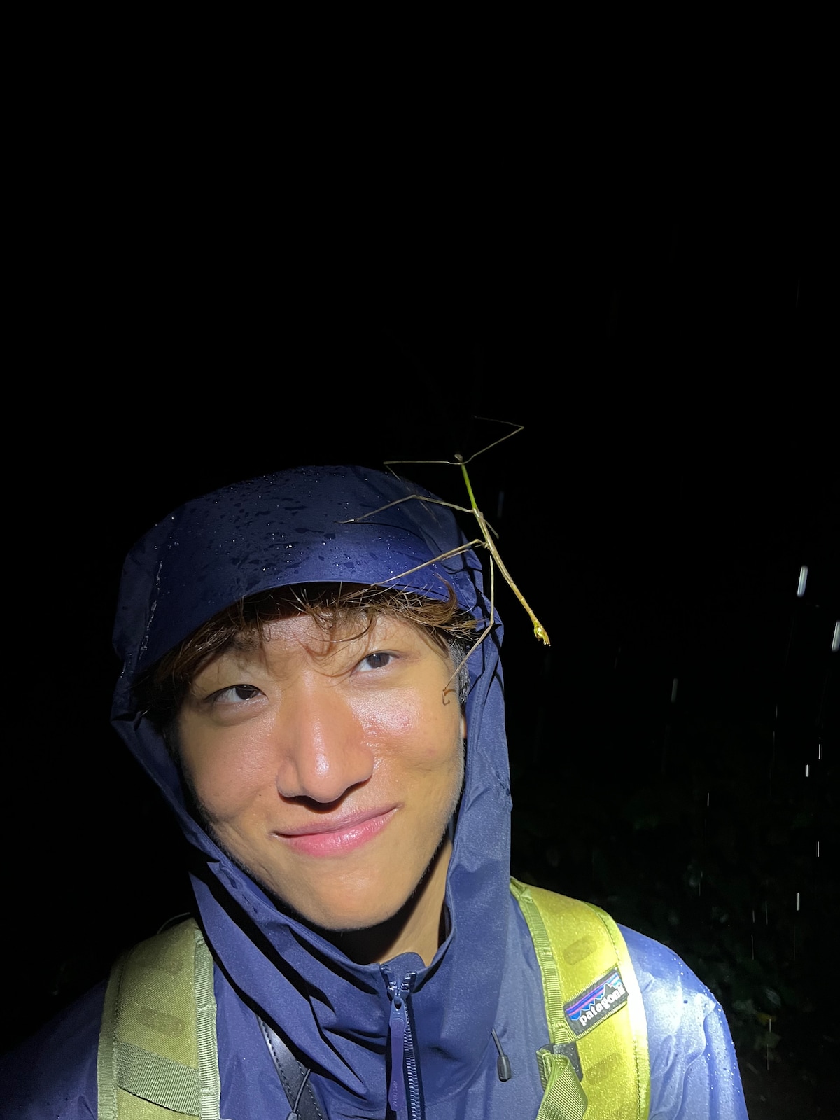 Encounter the Nocturnal Creatures of La Fortuna