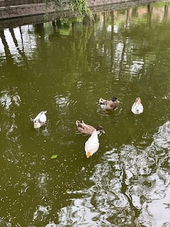 洛迪王朝漫步之旅