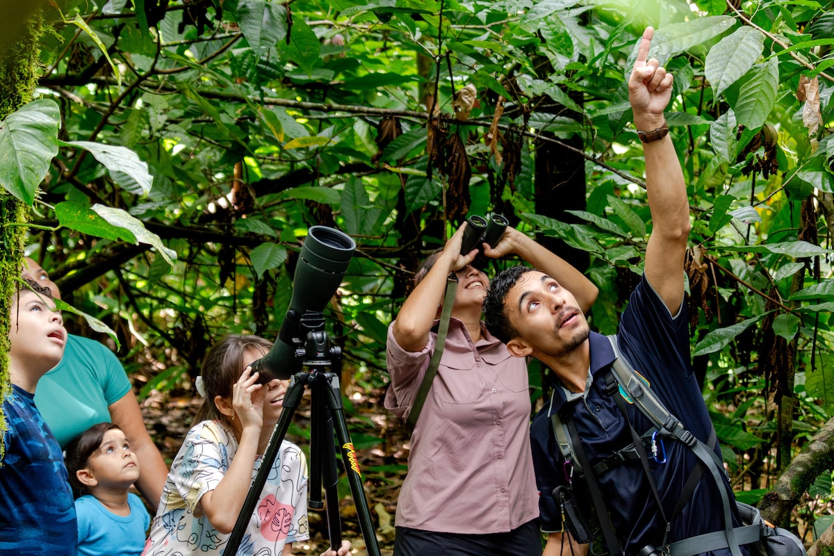 Sloth Tour in Arenal and Tortilla Cooking Classes