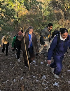 Explora los bosques de Udaipur y observa la fauna