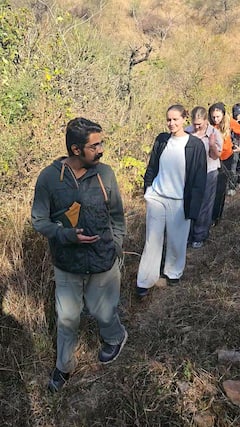 Explora los bosques de Udaipur y observa la fauna