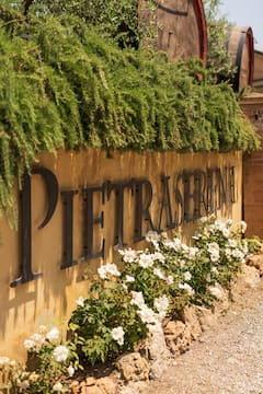Der Geschmack von San Gimignano: Wein, Weinberge & Geschichten
