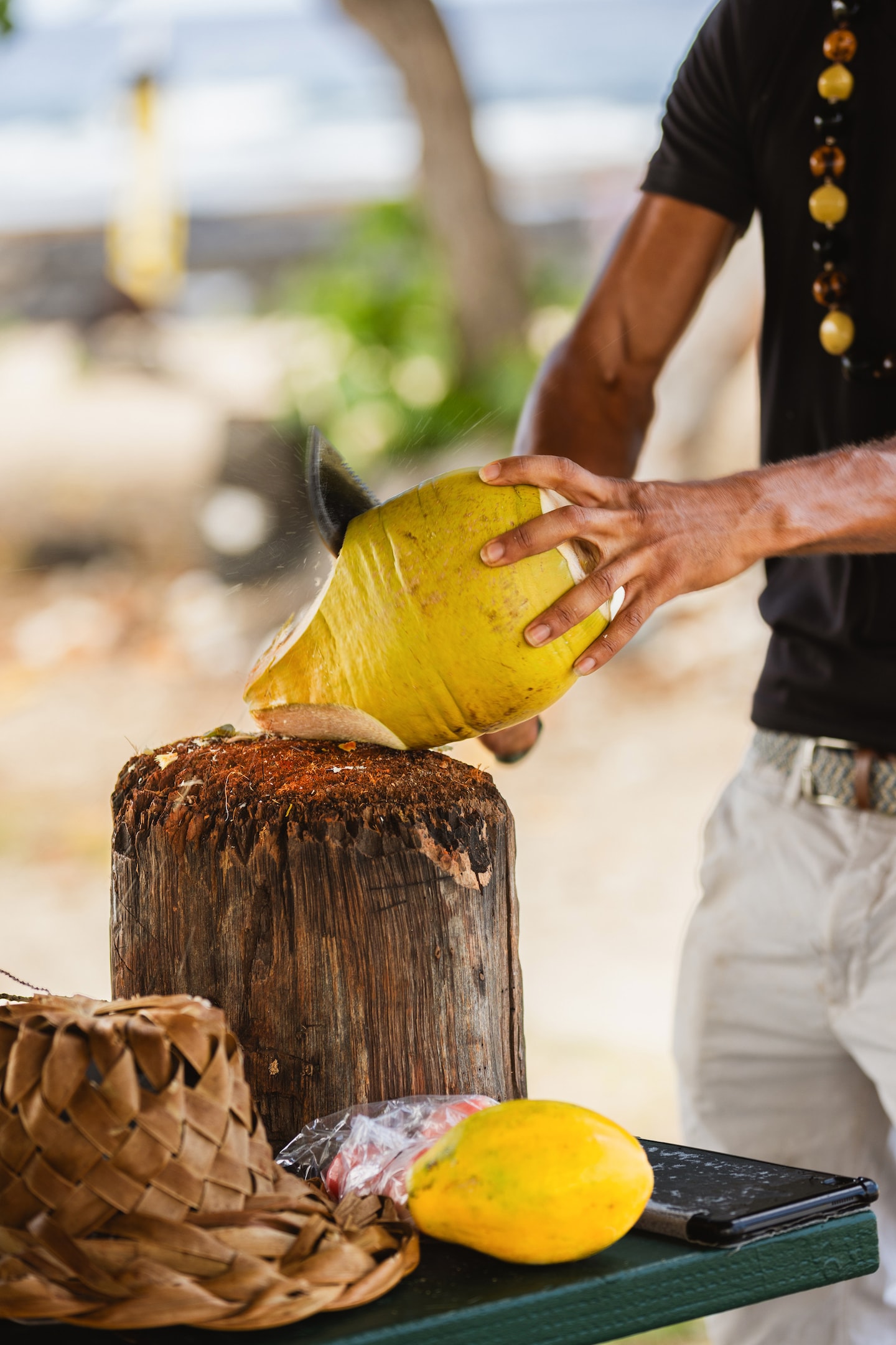 Coconut experience with The CocoMon ™ · ☆4.98