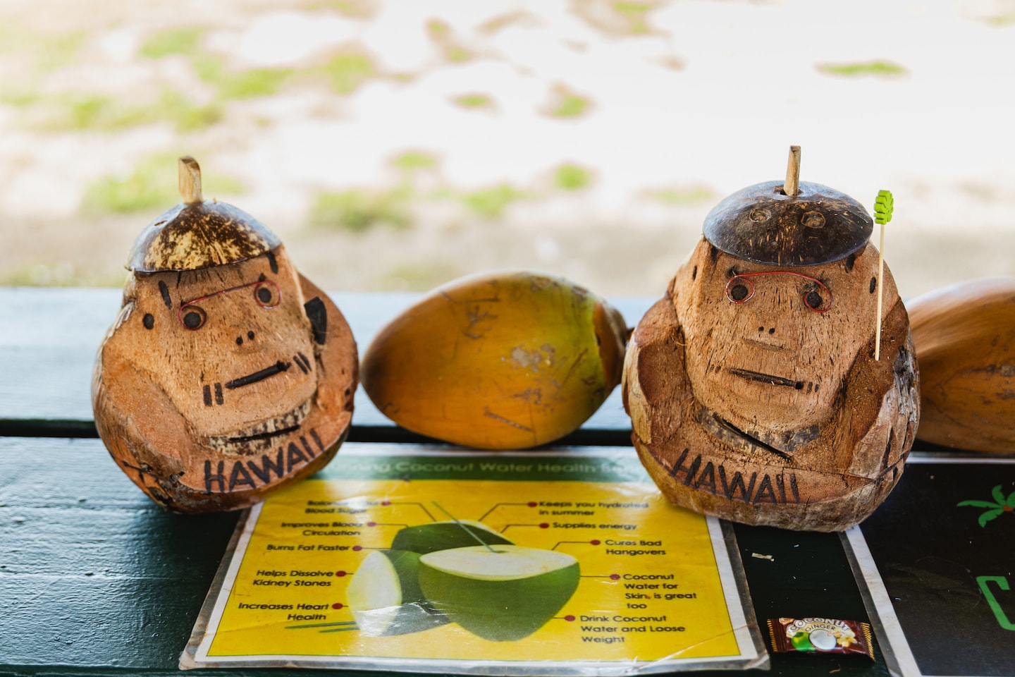 Coconut experience with The CocoMon ™ · ☆4.98