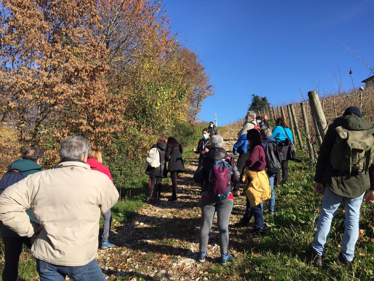 Tour of the Prosecco hills from Treviso