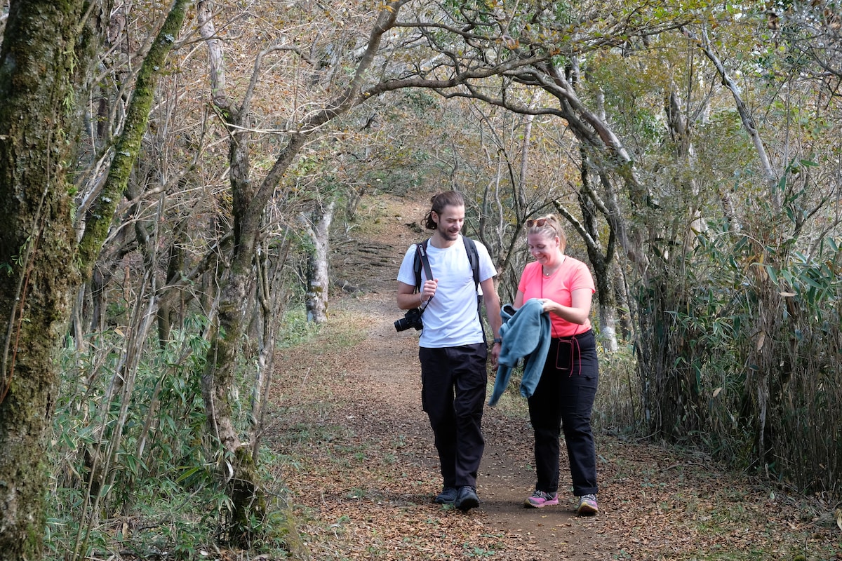 Traverse the outer rim of Hakone caldera