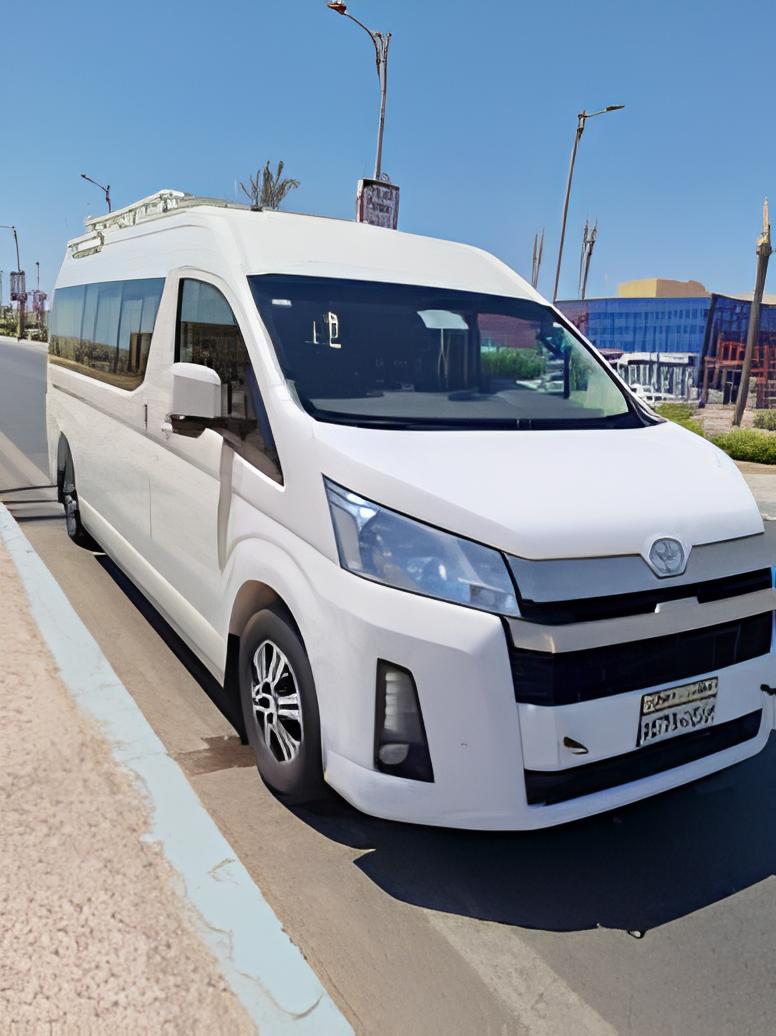 Venture to the Abu Simbel temples from Aswan