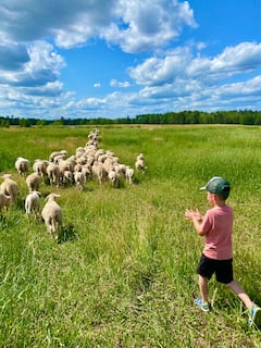Meet the Animals of Medicine Creek Farm