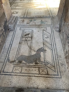 Descubre Pompeya en una hora