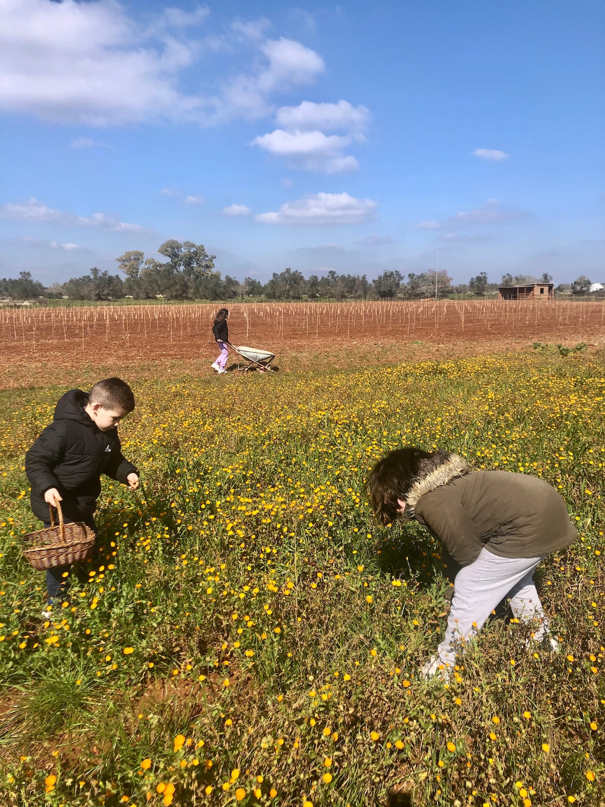 Visit a farm in Salento