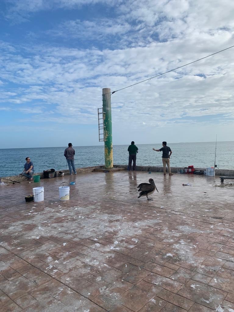 Enjoy a day of fishing on the pier or beach