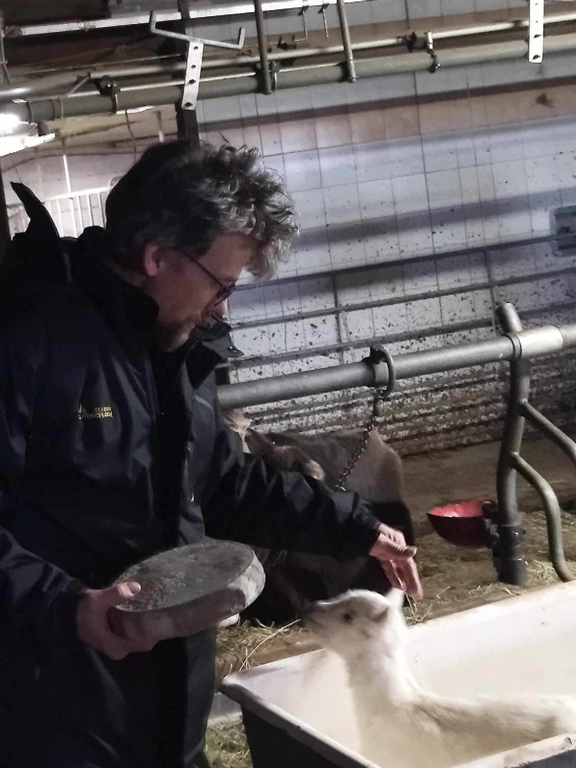Farm visit on the Via Francesca
