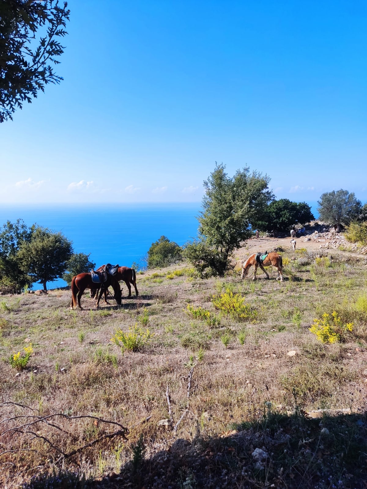 Ride through Alanyas landscapes