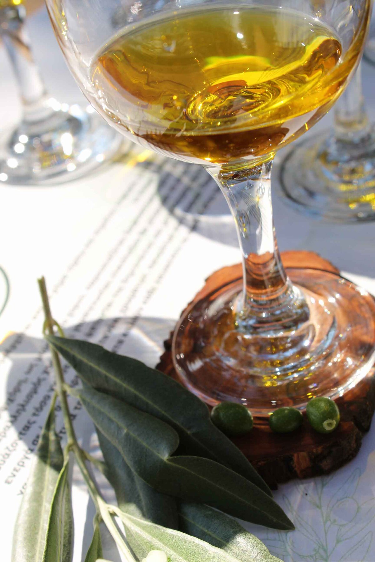 Meet greek olive oil