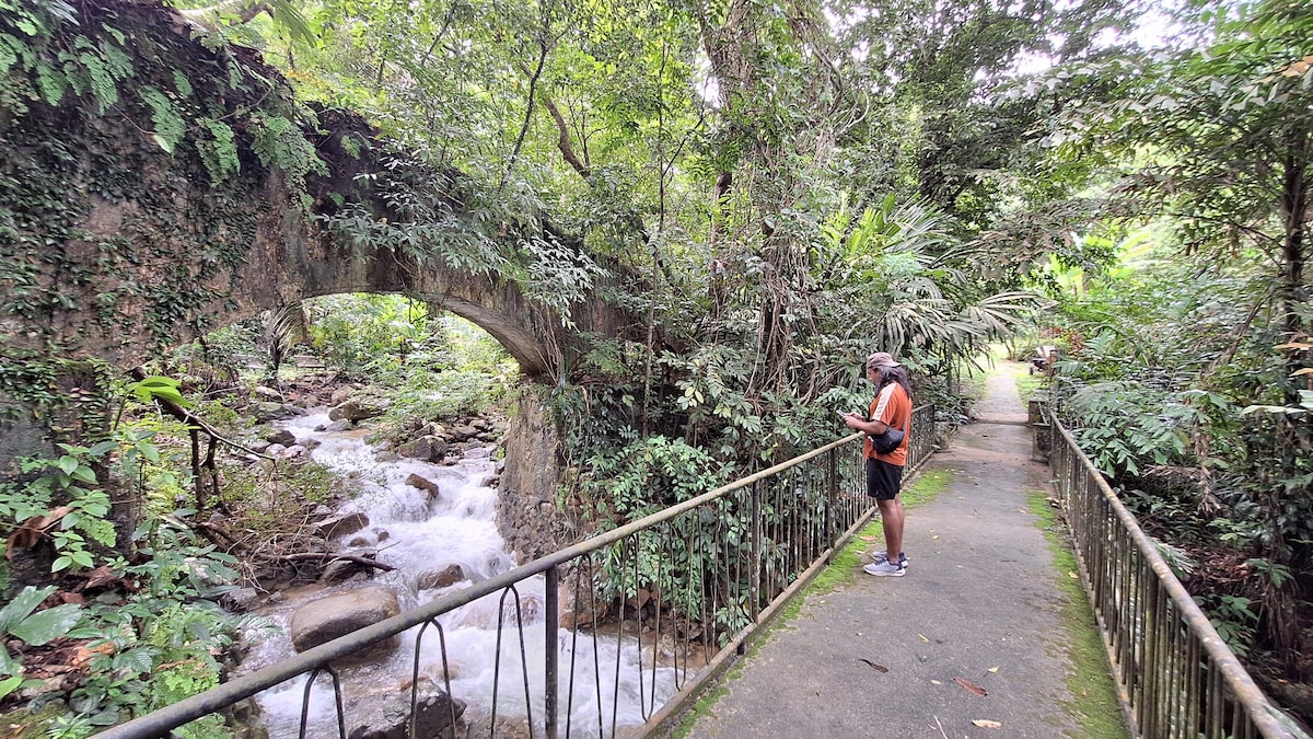 Nature & You: A Cinematic Experience in Penang