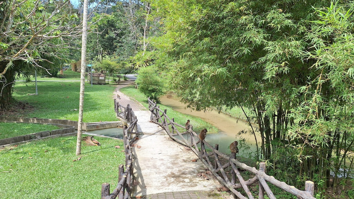 Nature & You: A Cinematic Experience in Penang